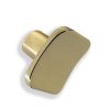 Buton Baggio auriu